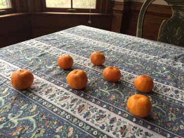oranges